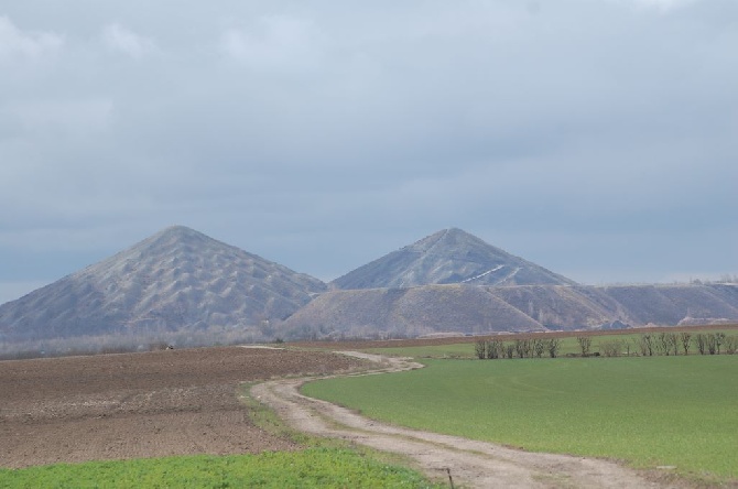 de la perdrisette - FIELD TRIAL DE PRINTEMPS 2015