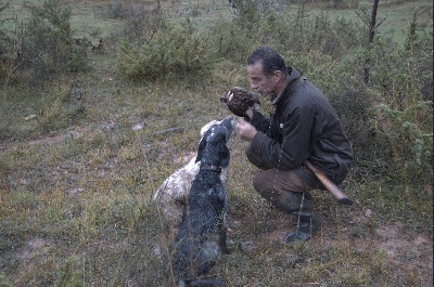 CHASSE A LA BECASSE EN ARIEGE